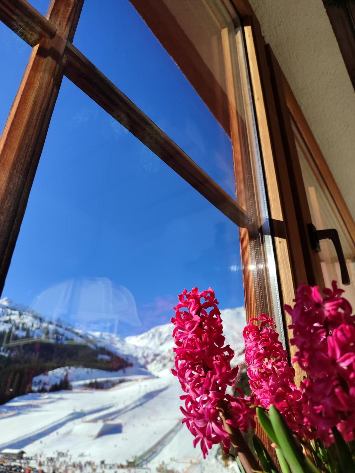 Hotel Almhof هوشفينغ المظهر الخارجي الصورة